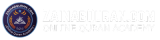 ZainabQuran.com Logo (1)